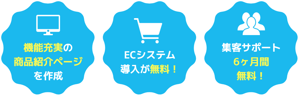 機能充実の商品紹介ページを作成 ECシステム導入が無料！ 集客サポート6ヶ月間無料！
